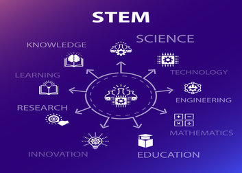 stem picture